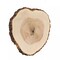 6 pcs 14-18" Natural Round Poplar Wood Slices Wedding Centerpieces Decorations